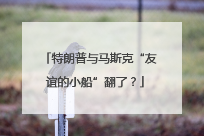 特朗普与马斯克“友谊的小船”翻了？